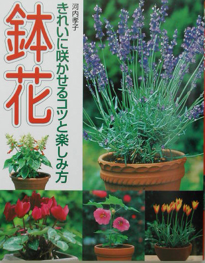 楽天ブックス 失敗しない鉢花の育て方 きれいに咲かせるコツと楽しみ方 河内孝子 本