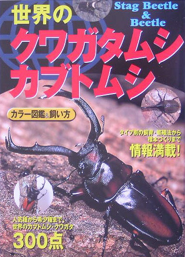 楽天ブックス 世界のクワガタムシ カブトムシ カラー図鑑飼い方 青木猛 本