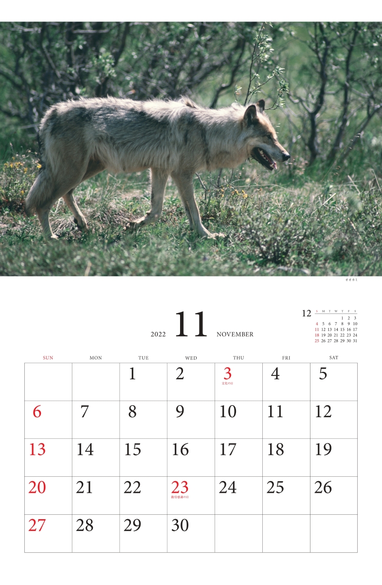 楽天ブックス 星野道夫ベストセレクション極北の動物たちカレンダー 22 本