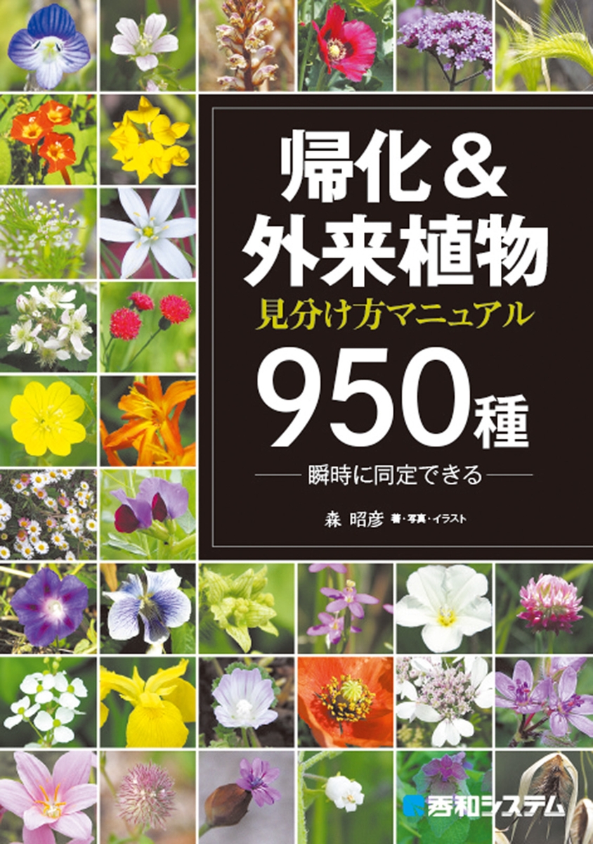 楽天ブックス 帰化 外来植物 見分け方マニュアル950 種 森 昭彦 本