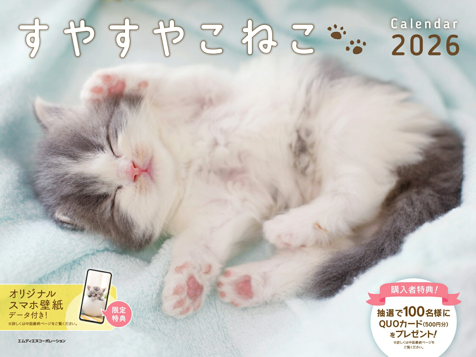 楽天市場】【ポイント10倍 & クーポン！】子猫のマンチカン 2026