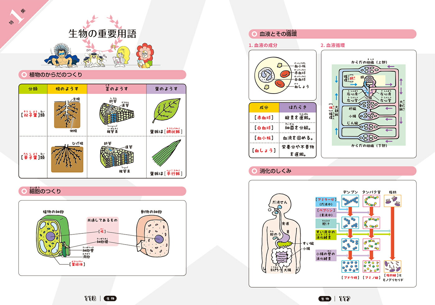 楽天ブックス 高校入試 理科 学研プラス 本