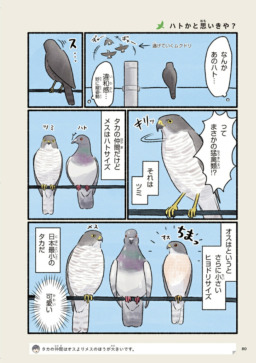 ޤޤճΤʤĻ[piropiropiccolo]