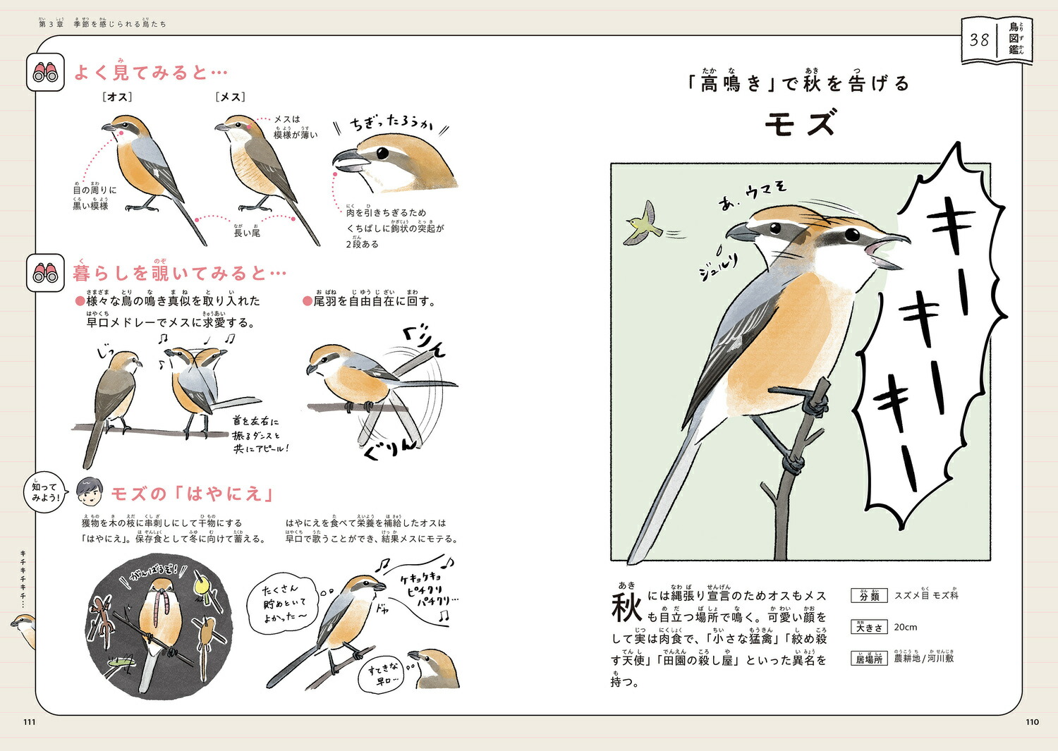 ޤޤճΤʤĻ[piropiropiccolo]