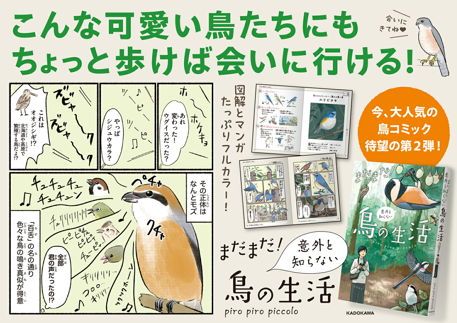 ޤޤճΤʤĻ[piropiropiccolo]