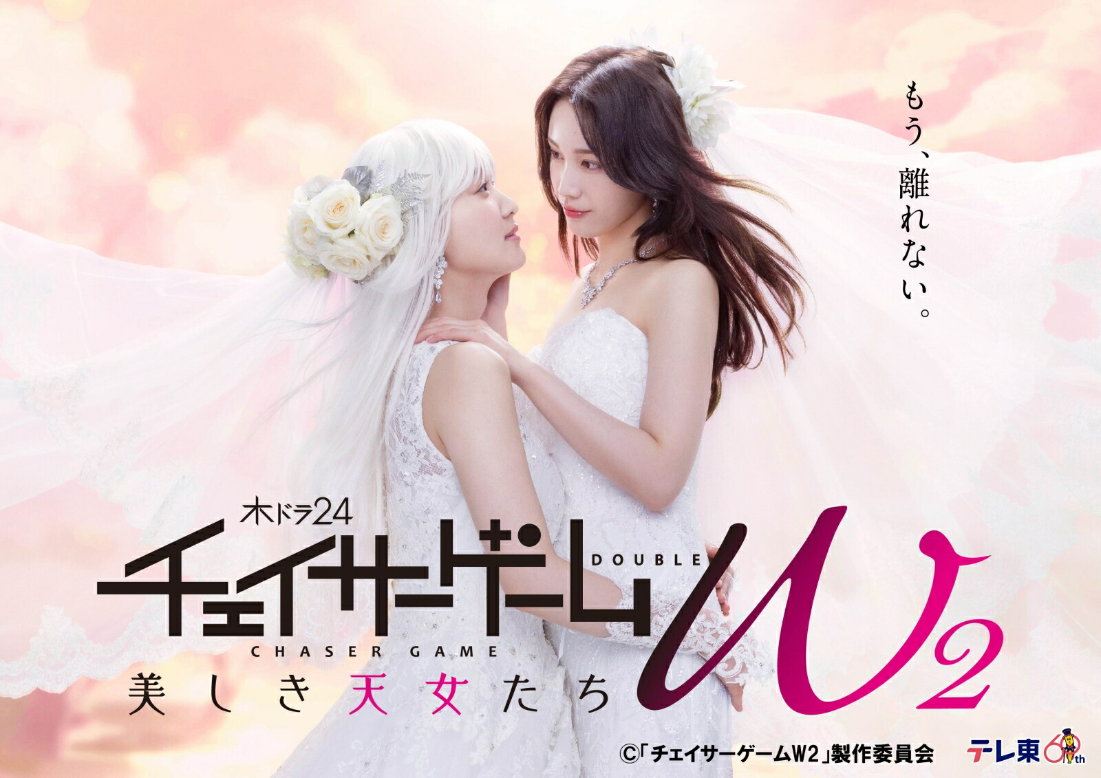 楽天ブックス: チェイサーゲームW2 美しき天女たち DVD-BOX - 菅井友香