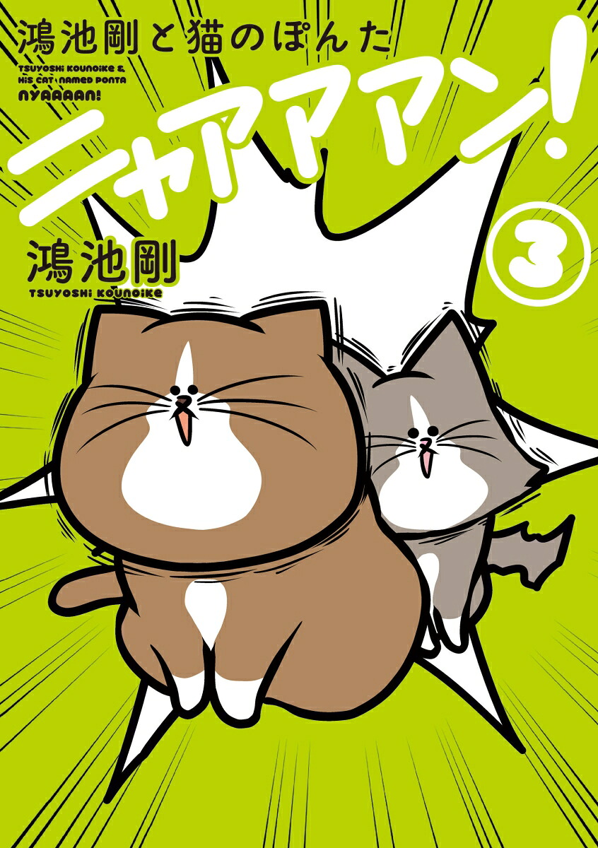 鴻池剛と猫のぽんたニャアアアン!3[鴻池剛]