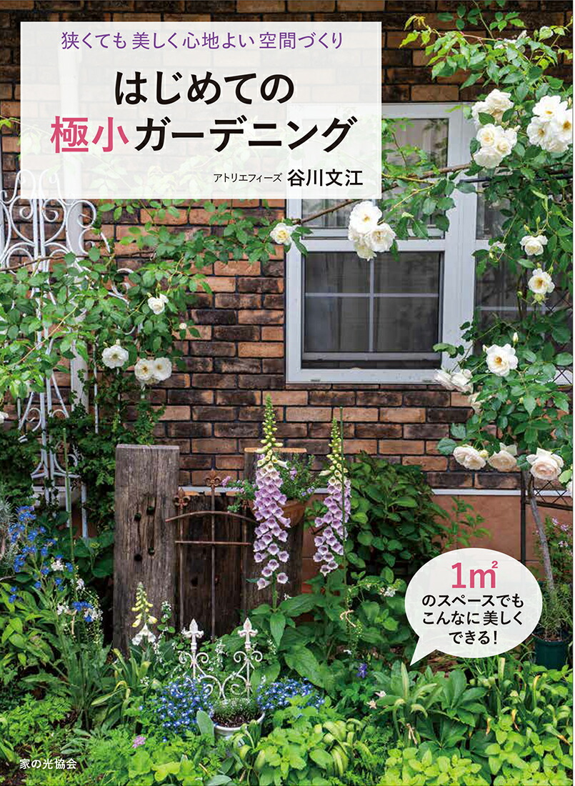 �Ϥ���Ƥζ˾������ǥ˥󥰶����Ƥ����������Ϥ褤���֤Ť���[ë��ʸ��]