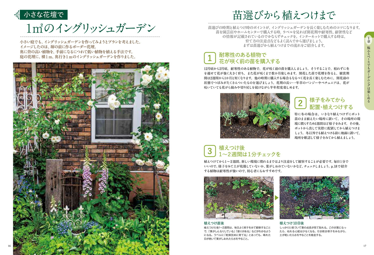 �Ϥ���Ƥζ˾������ǥ˥󥰶����Ƥ����������Ϥ褤���֤Ť���[ë��ʸ��]