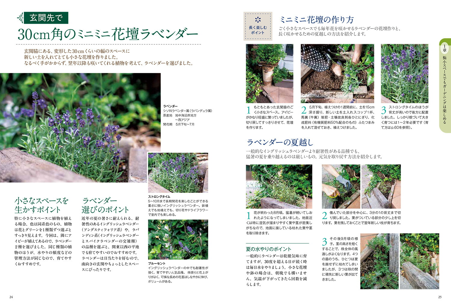 �Ϥ���Ƥζ˾������ǥ˥󥰶����Ƥ����������Ϥ褤���֤Ť���[ë��ʸ��]