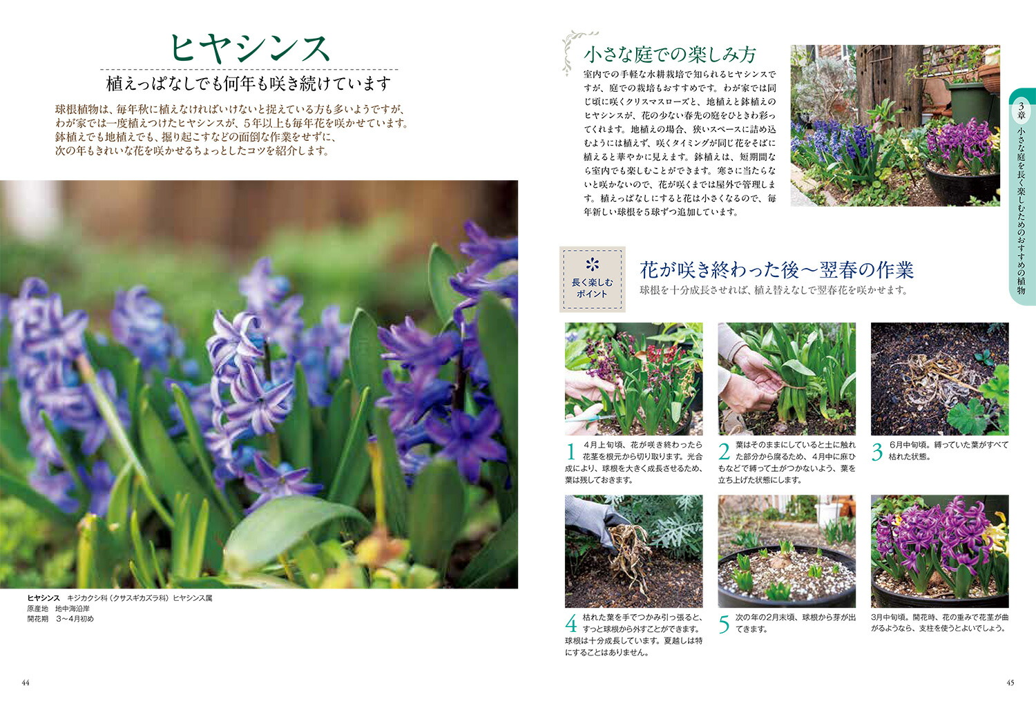 �Ϥ���Ƥζ˾������ǥ˥󥰶����Ƥ����������Ϥ褤���֤Ť���[ë��ʸ��]