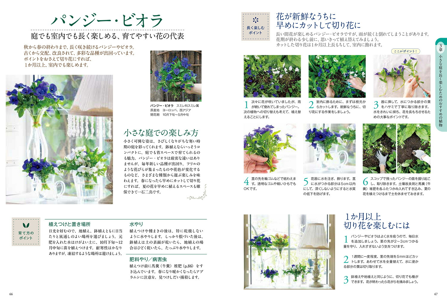 �Ϥ���Ƥζ˾������ǥ˥󥰶����Ƥ����������Ϥ褤���֤Ť���[ë��ʸ��]