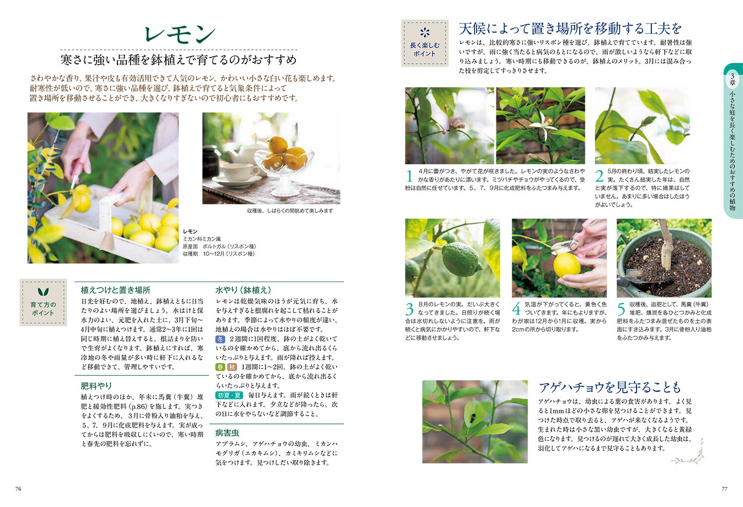 �Ϥ���Ƥζ˾������ǥ˥󥰶����Ƥ����������Ϥ褤���֤Ť���[ë��ʸ��]