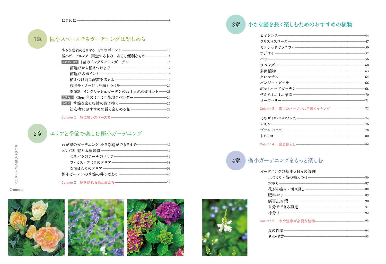 �Ϥ���Ƥζ˾������ǥ˥󥰶����Ƥ����������Ϥ褤���֤Ť���[ë��ʸ��]