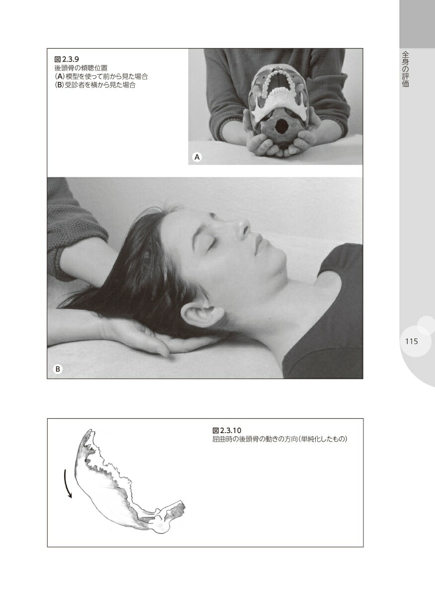 楽天ブックス クラニオセイクラル リズム わかりやすい頭蓋仙骨療法 ルビ クラニオセイクラル セラピー の実践ガイド決定版 ダニエル アグストーニ 本