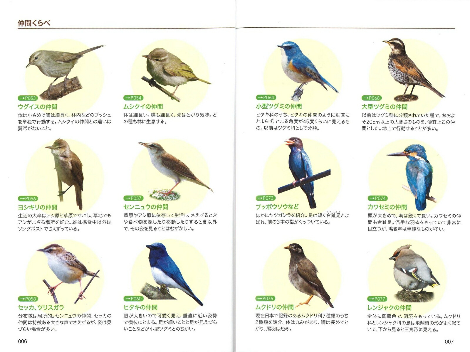 楽天ブックス くらべてわかる野鳥文庫版 叶内拓哉 本