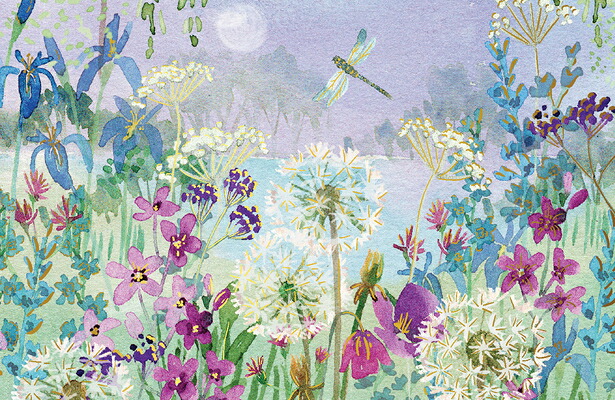 Dandelion Sticky Notes 楽天ブックス: Dragonflies & Dandelions Note Cards (14 Cards, 15 Self-Sealing ...