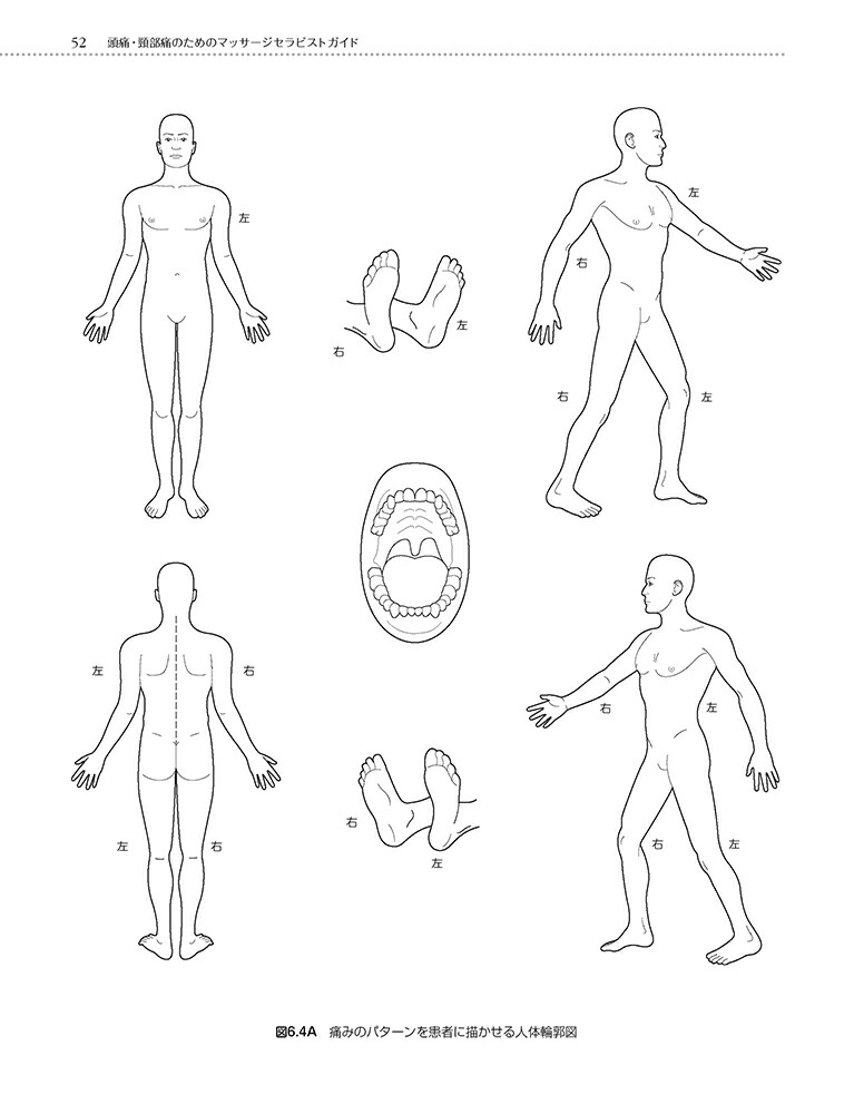 楽天ブックス 頭痛 頚部痛のためのマッサージセラピストガイド 頭痛のタイプと頚部痛の原因その痛みの評価法を紹介し サンディ フリッツ 本