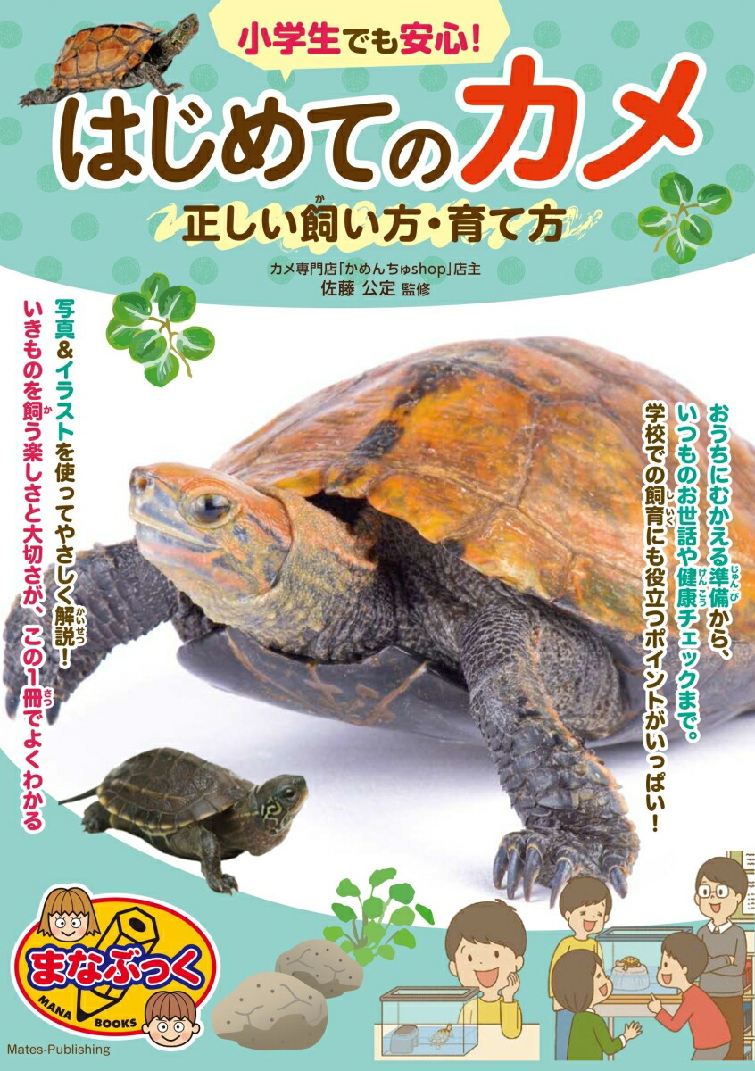 小学生でも安心!はじめてのカメ正しい飼い方・育て方[佐藤公定]