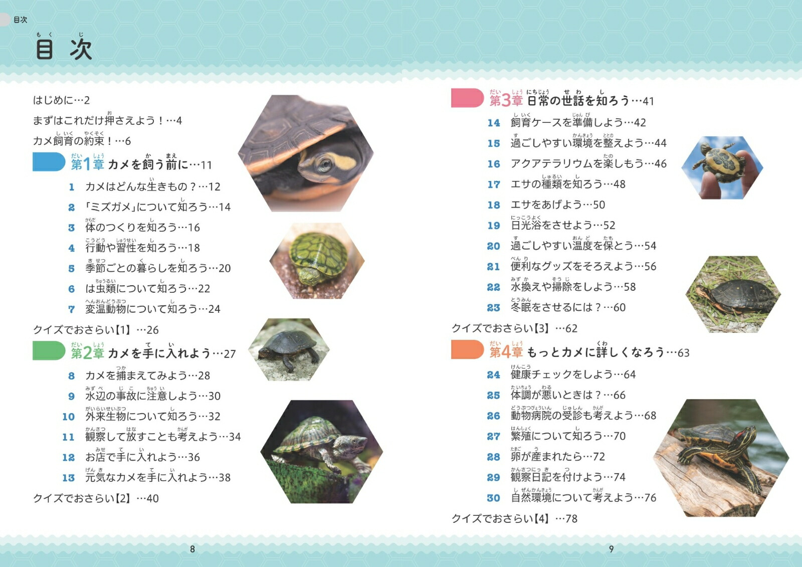 小学生でも安心!はじめてのカメ正しい飼い方・育て方[佐藤公定]
