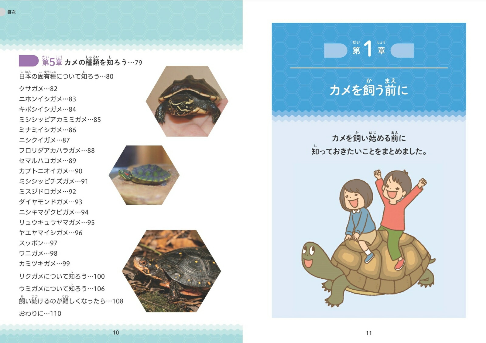 小学生でも安心!はじめてのカメ正しい飼い方・育て方[佐藤公定]