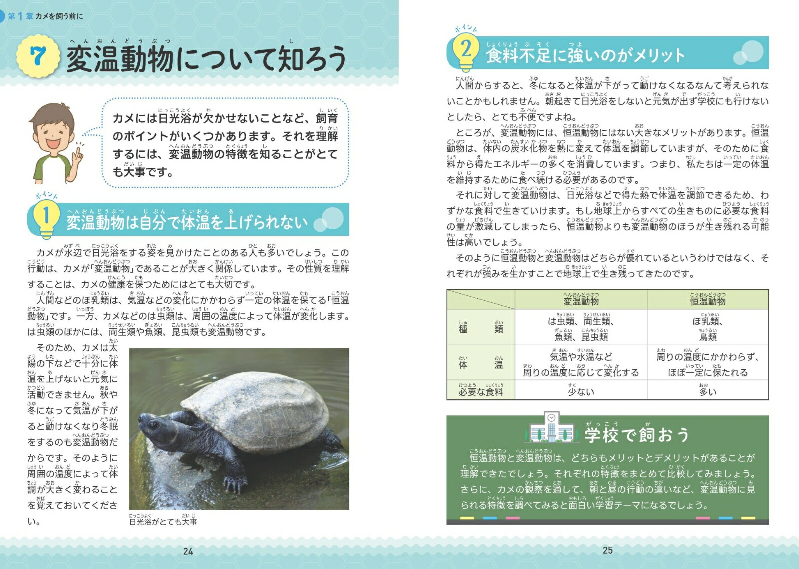 小学生でも安心!はじめてのカメ正しい飼い方・育て方[佐藤公定]