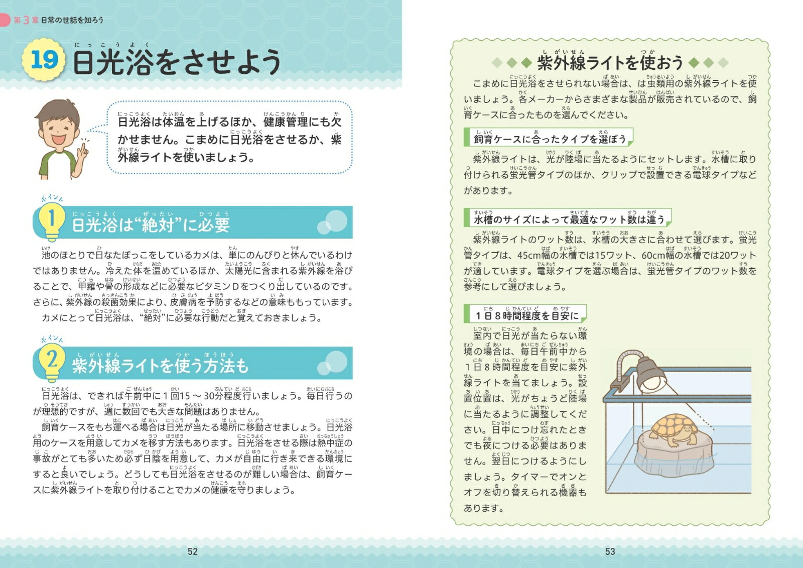 小学生でも安心!はじめてのカメ正しい飼い方・育て方[佐藤公定]