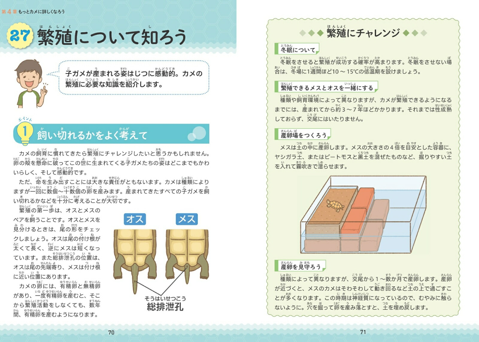 小学生でも安心!はじめてのカメ正しい飼い方・育て方[佐藤公定]