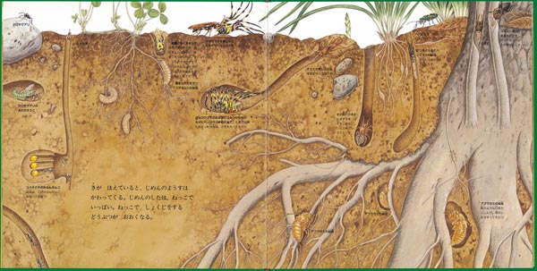 ̤βΤΡʡۤβʳإ꡼[ã]