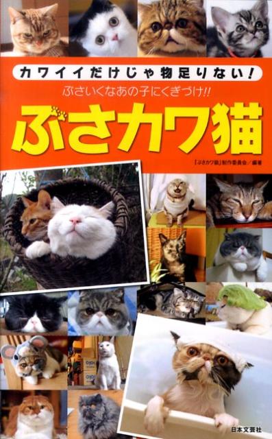 楽天ブックス ぶさカワ猫 カワイイだけじゃ物足りない ぶさカワ猫 制作委員会 本