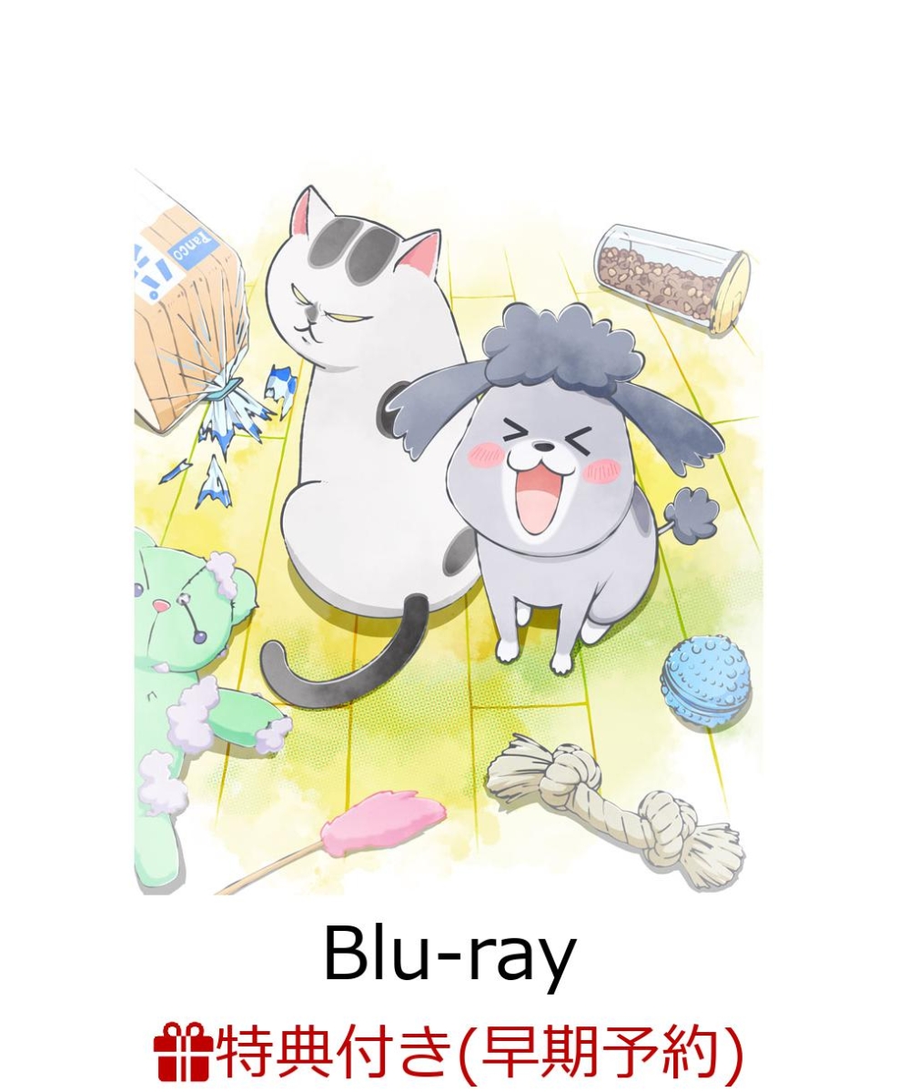 楽天ブックス 早期予約特典 先着特典 犬と猫どっちも飼ってると毎日たのしい Blu Ray 初回限定生産 Blu Ray ジャケットイラスト使用 しおりカード 猫さまヘアゴム 花澤香菜 Dvd