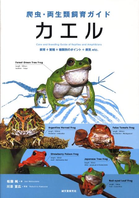 楽天ブックス カエル 飼育 繁殖 種類別のポイント 病気etc 松園純 本