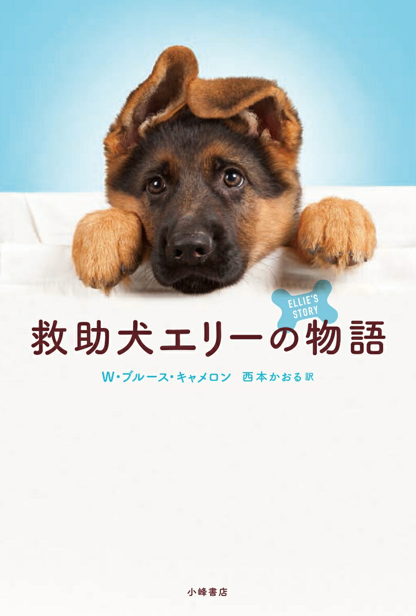 犬 販売済み の 物語 本