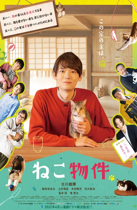 ブックス: ねこ物件 Blu-ray BOX【Blu-ray】 - 綾部真弥 - 古川雄輝 - 4571519908058 : DVD