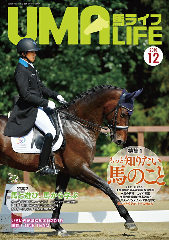UMALIFE2019ǯ12[Խ]
