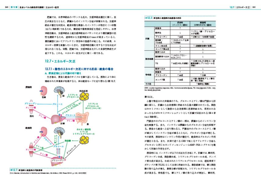 楽天ブックス エッセンシャル栄養化学 佐々木 努 9784065238066 本
