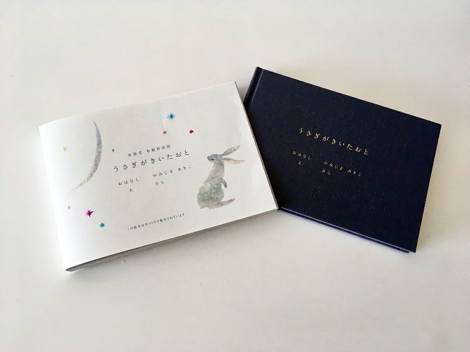 うさぎがきいたおと美篶堂布製特装版[かみじまあきこ]