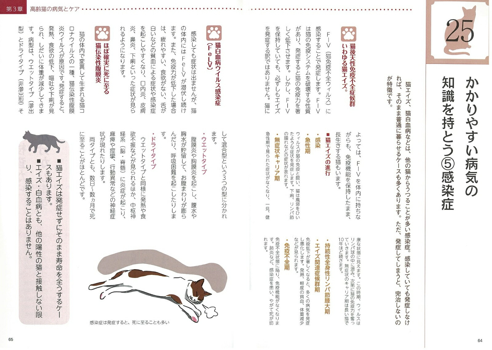 楽天ブックス ネコたちの 看取りの心得 幸せな最期を迎える50のヒント 山本 宗伸 本