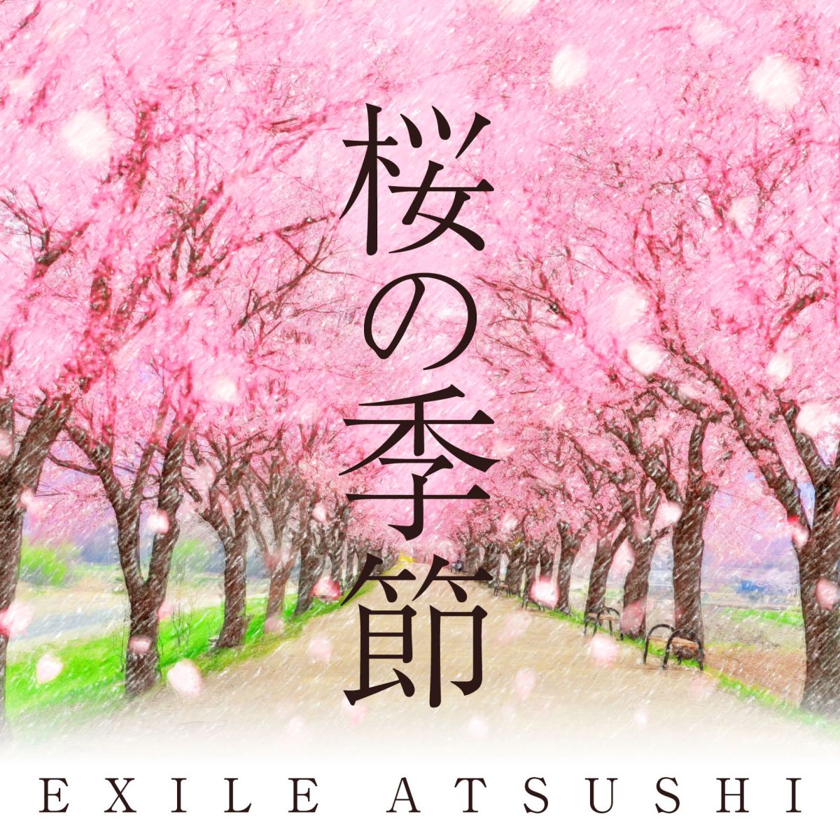 楽天ブックス: 桜の季節 - EXILE ATSUSHI - 4988064598076 : CD