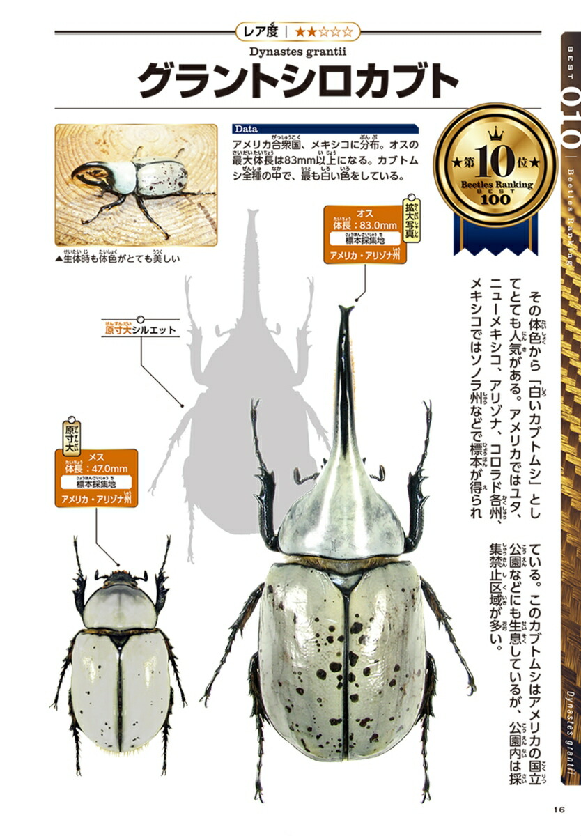 �����Υ��֥ȥॷBEST100[��¼��]