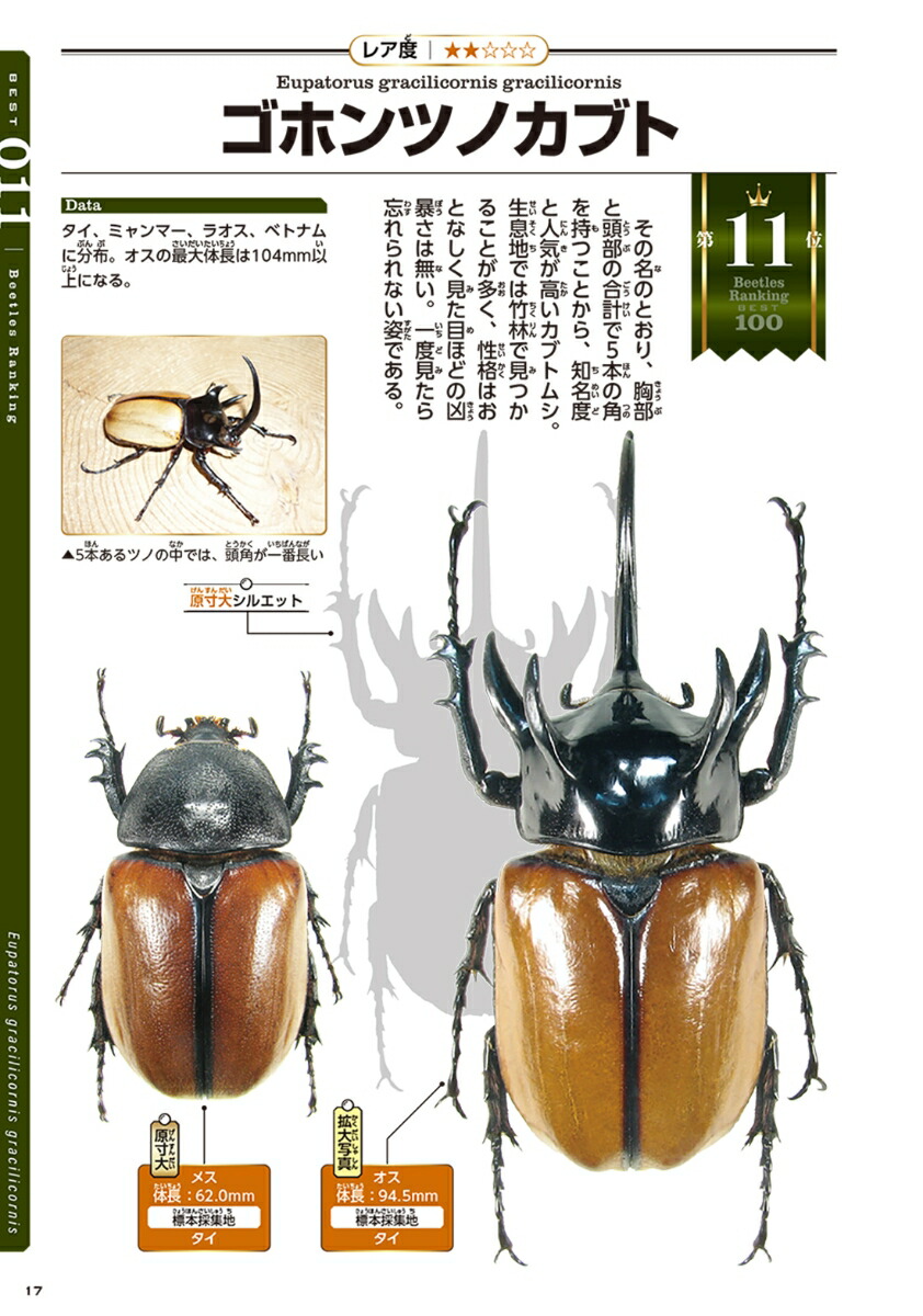 �����Υ��֥ȥॷBEST100[��¼��]