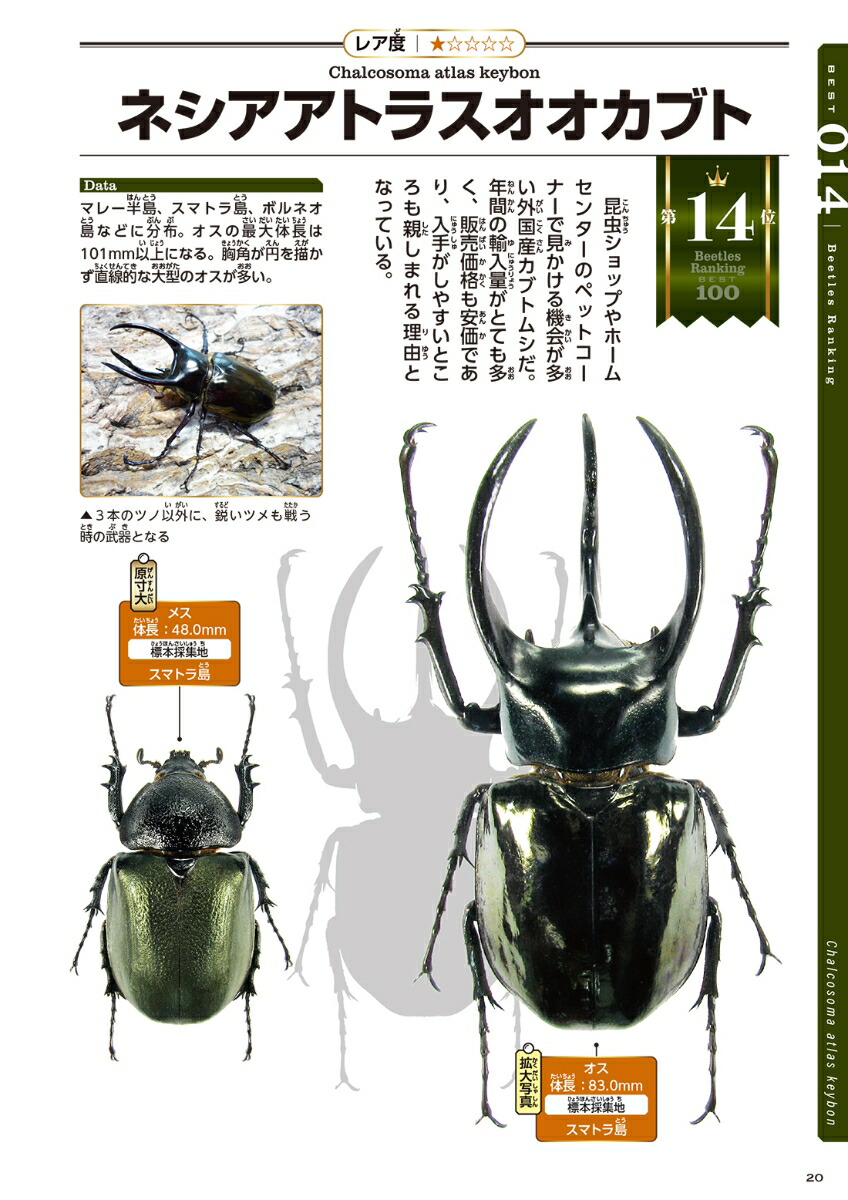 �����Υ��֥ȥॷBEST100[��¼��]