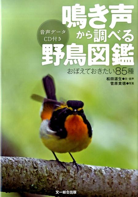 楽天ブックス 鳴き声から調べる野鳥図鑑 仮 おぼえておきたい85種 音声データcd付き 松田道生 本