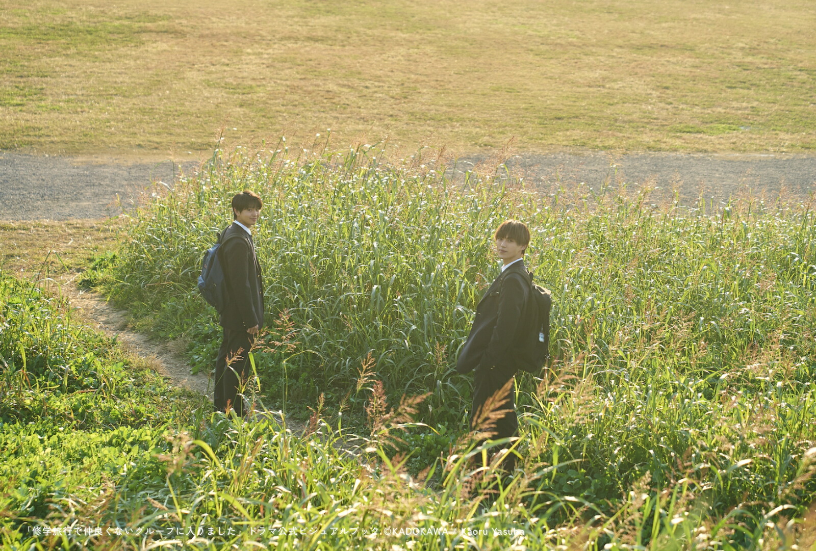 �ڳ�ŷ�֥å�������ǥ�������ŵ�ֽۡ���ι�Ԥ����ɤ��ʤ����롼�פ�����ޤ����ץɥ�޸����ӥ��奢��֥å�(�����ӥ��奢��֥å�����΢¦ư��DL�ǡ���-2�ͤ���ν���ι����)[ABC]