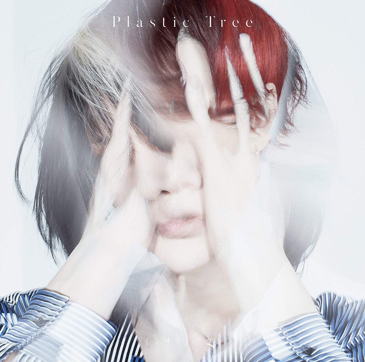 楽天ブックス: インサイドアウト - Plastic Tree - 4988002768097 : CD