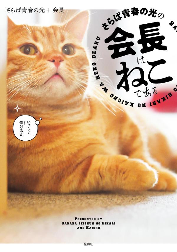 さらば青春の光の会長はねこである[さらば青春の光]