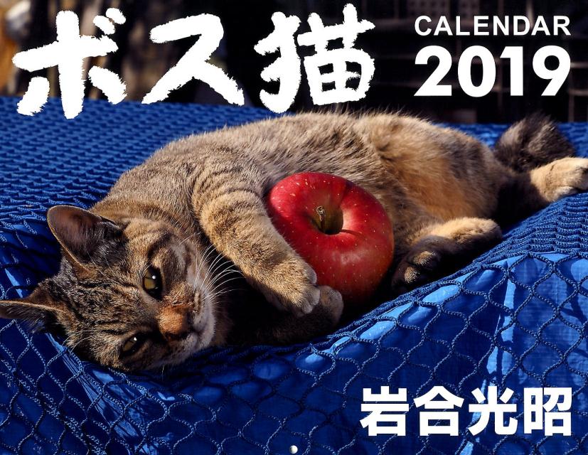 楽天ブックス: ボス猫カレンダー（2019） - 9784862978110 : 本