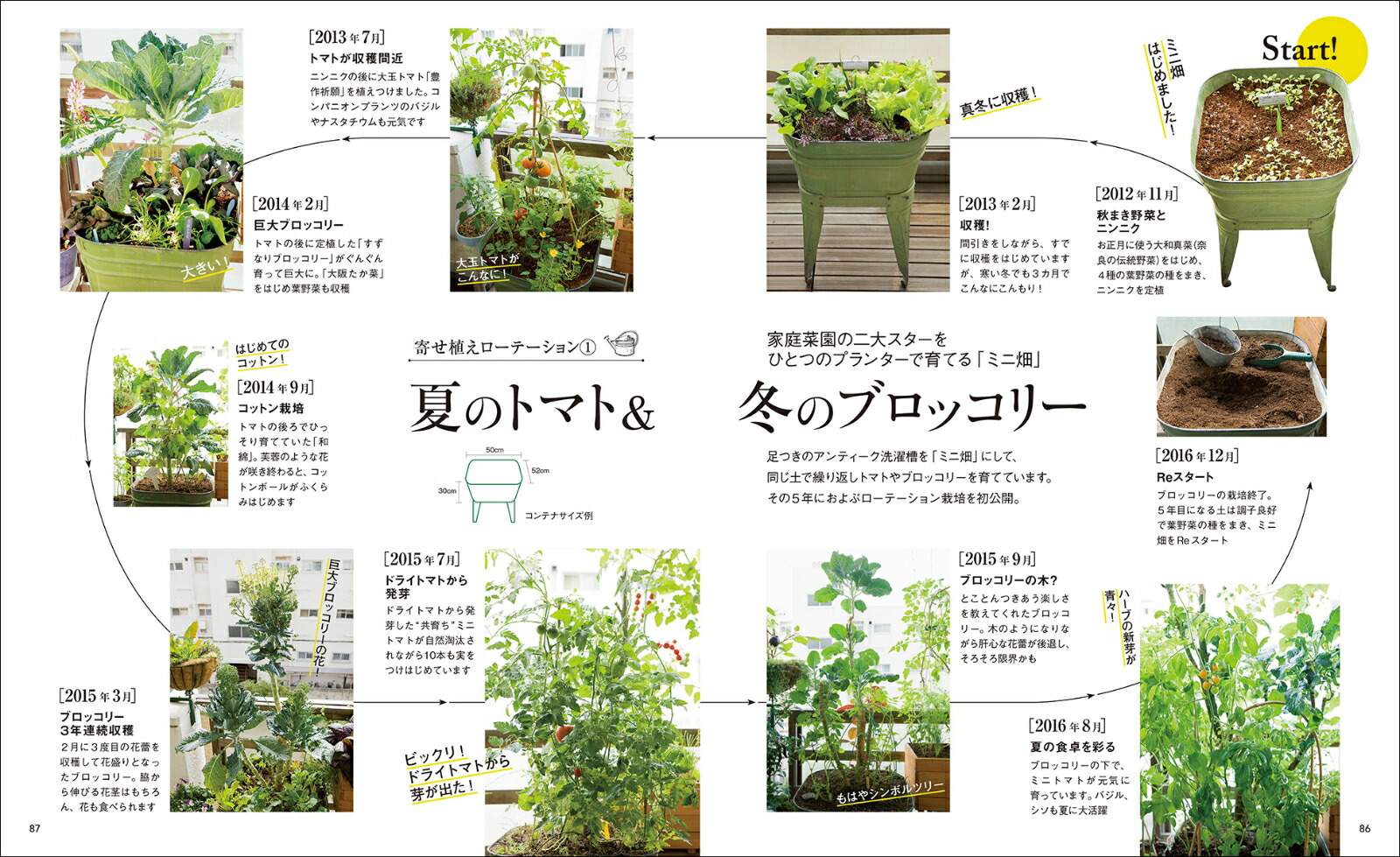 楽天ブックス ベランダ寄せ植え菜園 自然の力を借りるから失敗しない たなかやすこ 本