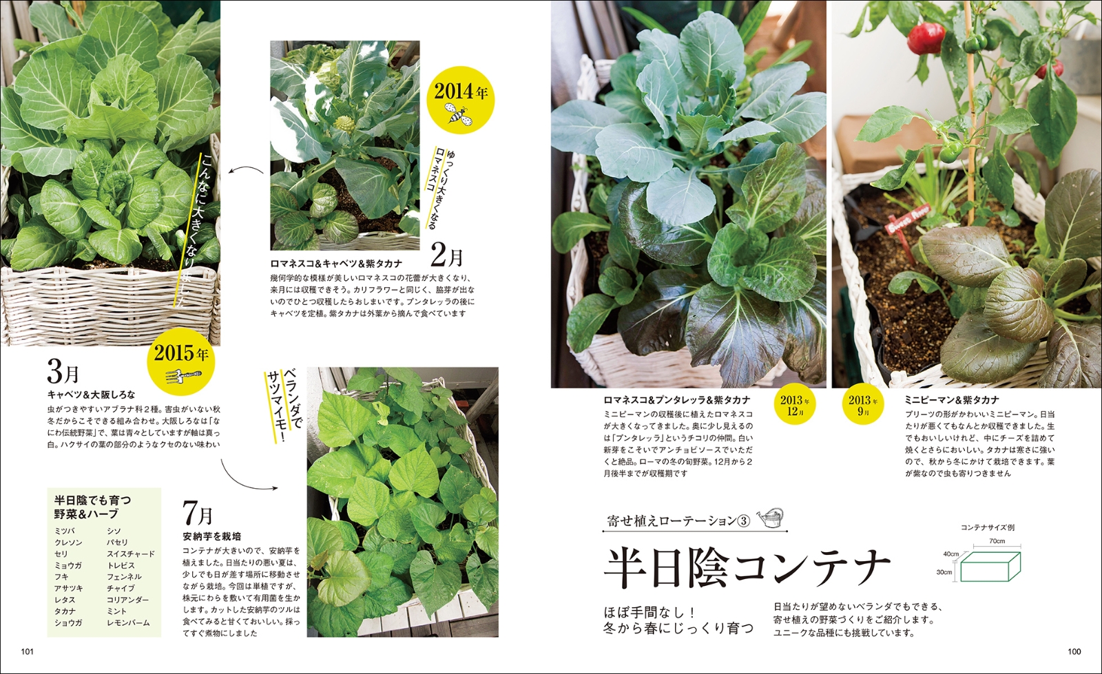 楽天ブックス ベランダ寄せ植え菜園 自然の力を借りるから失敗しない たなかやすこ 本