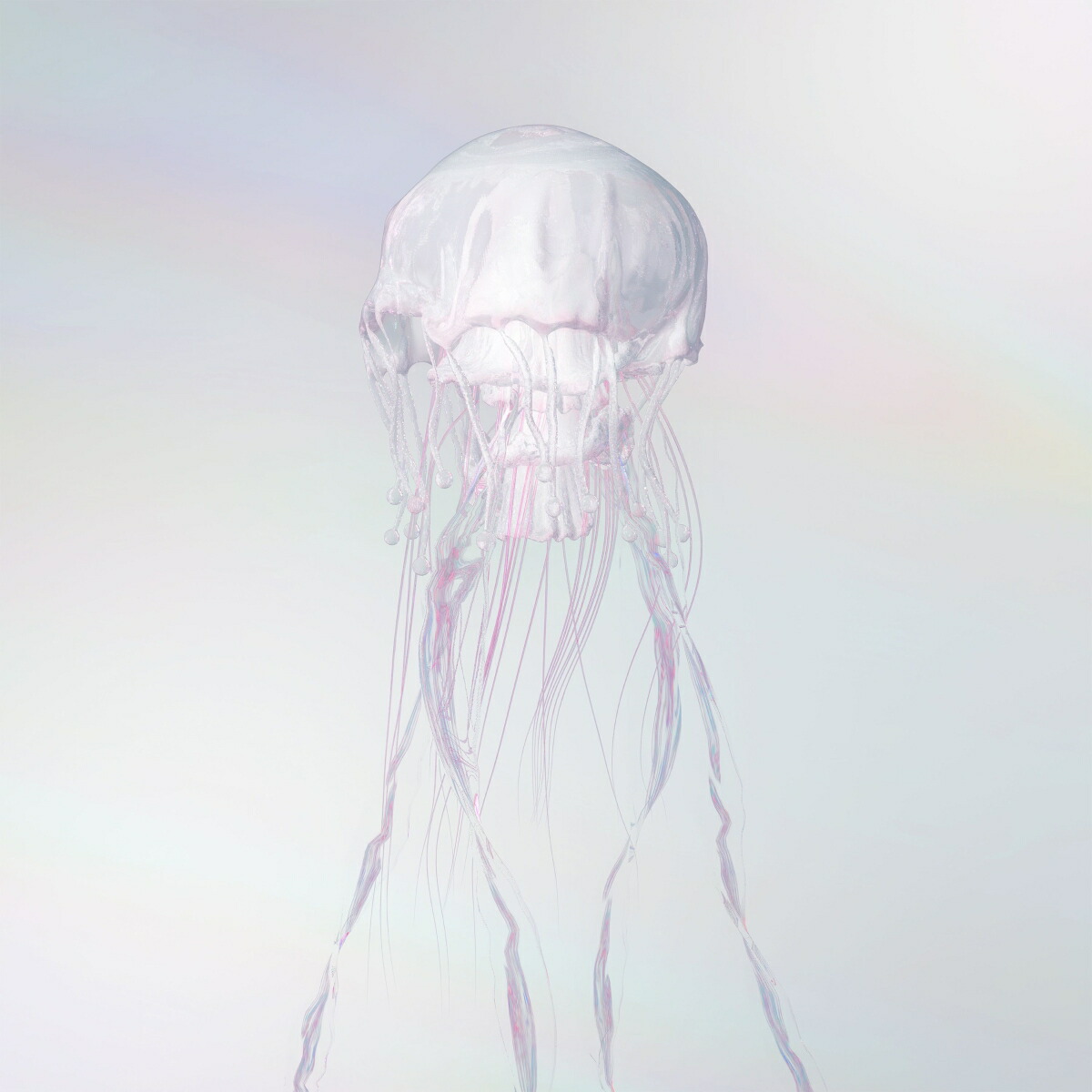 【楽天ブックス限定先着特典】LUMINOUS (完全生産限定盤 CD＋Blu-ray＋GOODS)(シューレース)画像